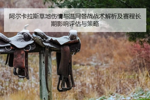 阿尔卡拉斯草地伤情与温网备战战术解析及赛程长期影响评估与策略