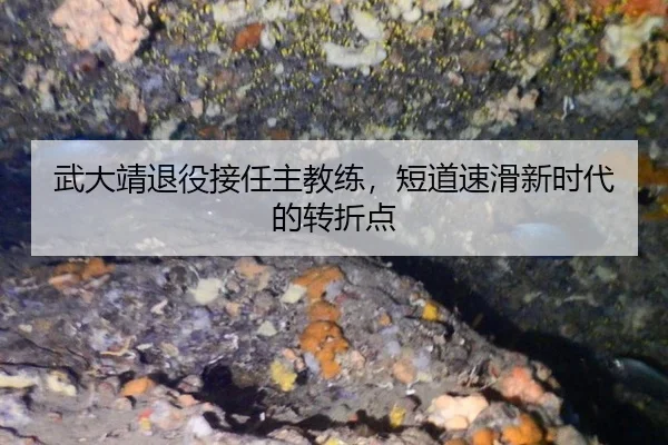 wu-da-jing-tui-yi-jie-ren-zhu-jiao-lian-duan-dao-su-hua-xin-shi-dai-de-zhuan-zhe-dian-2-251.jpg
